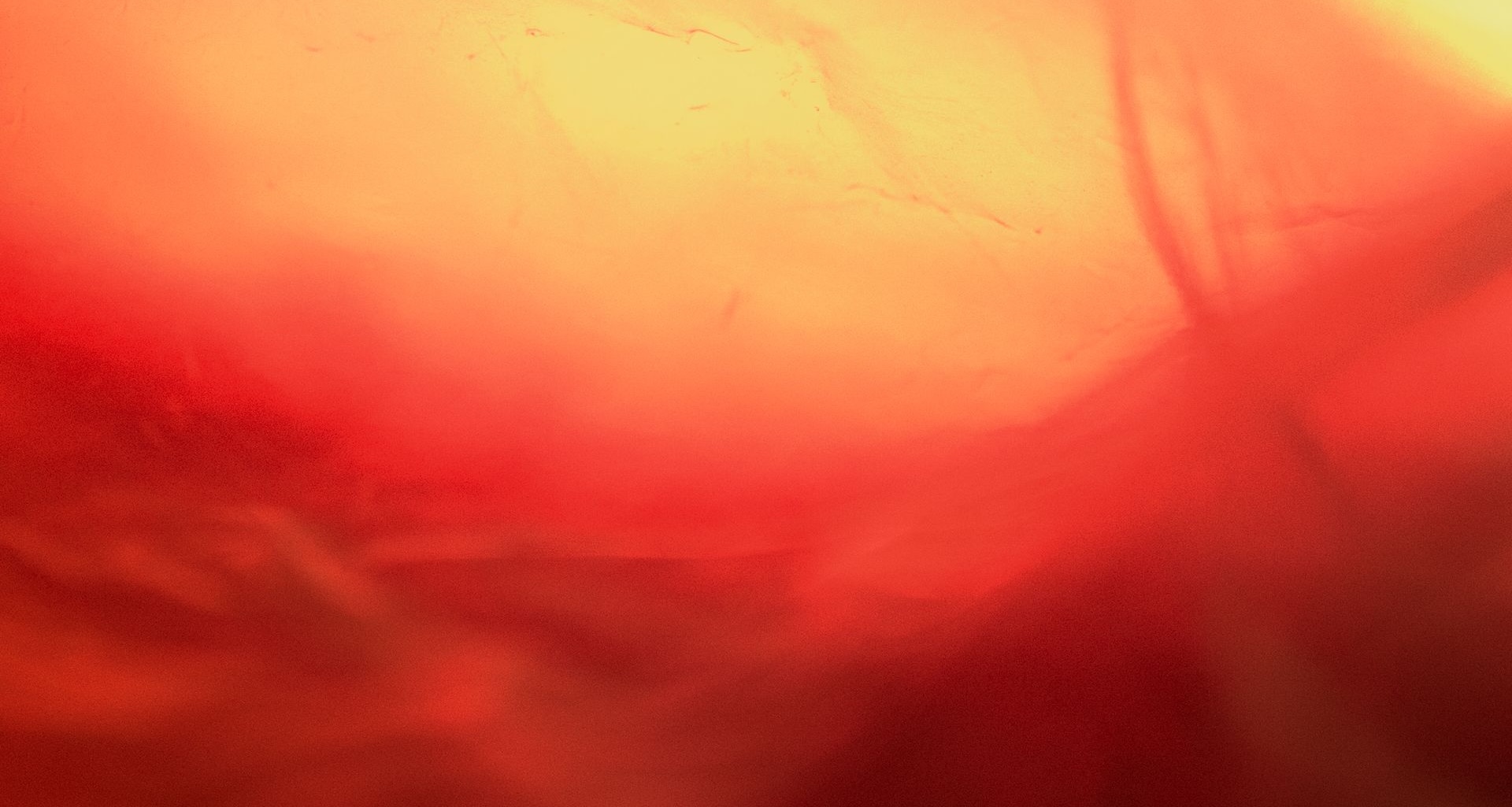 Closeup of an ongoing inflammation in a human body.